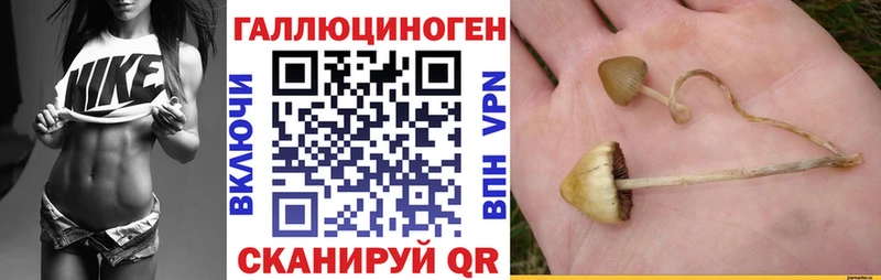 mega онион  Удачный  Галлюциногенные грибы GOLDEN TEACHER 